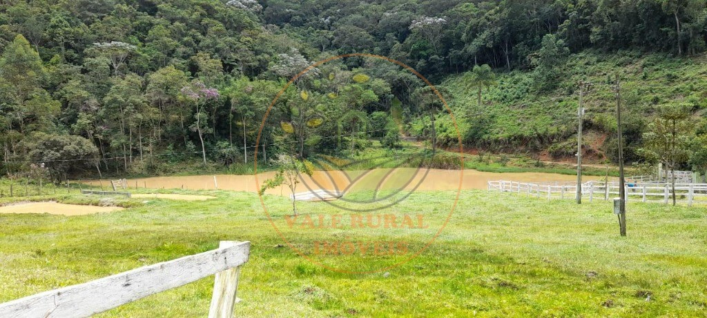 Sítio, 3 quartos - Foto 2