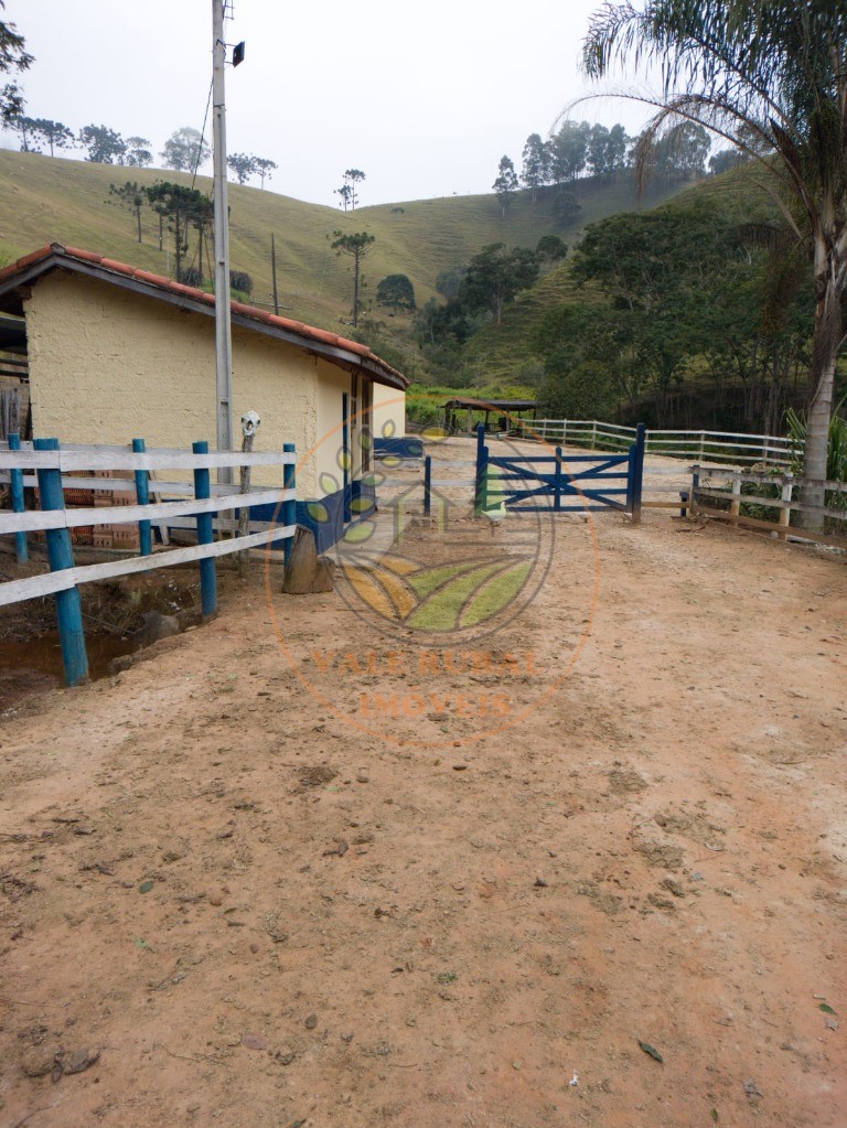 Sítio, 3 quartos - Foto 4
