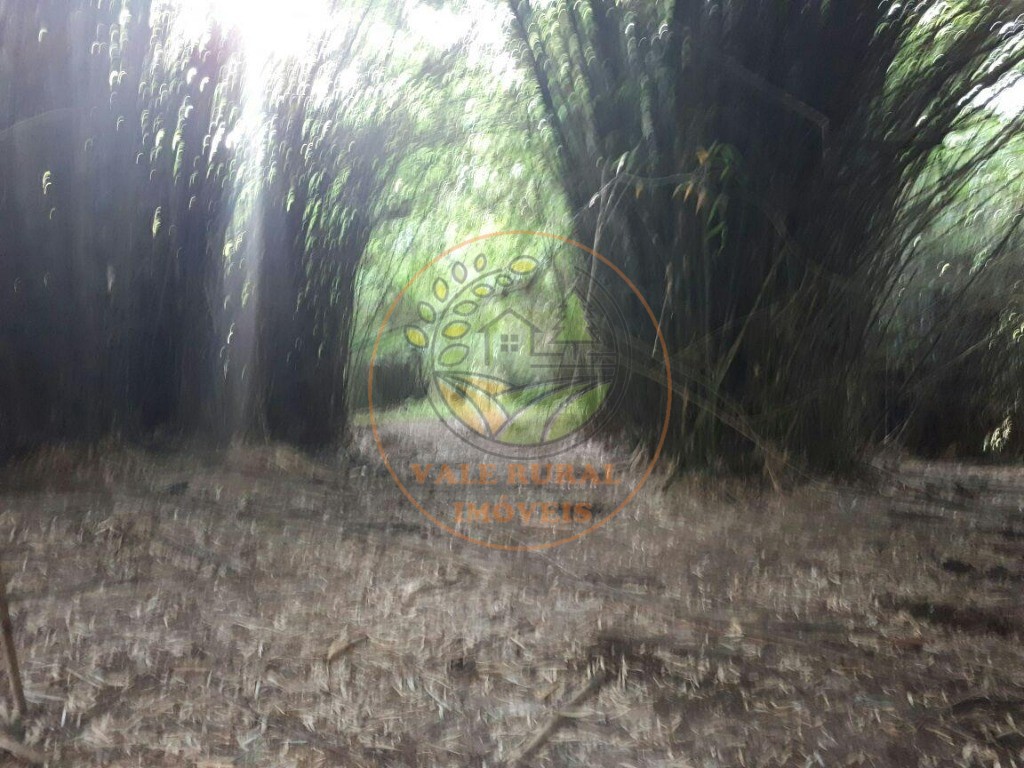 Sítio, 4 quartos - Foto 54