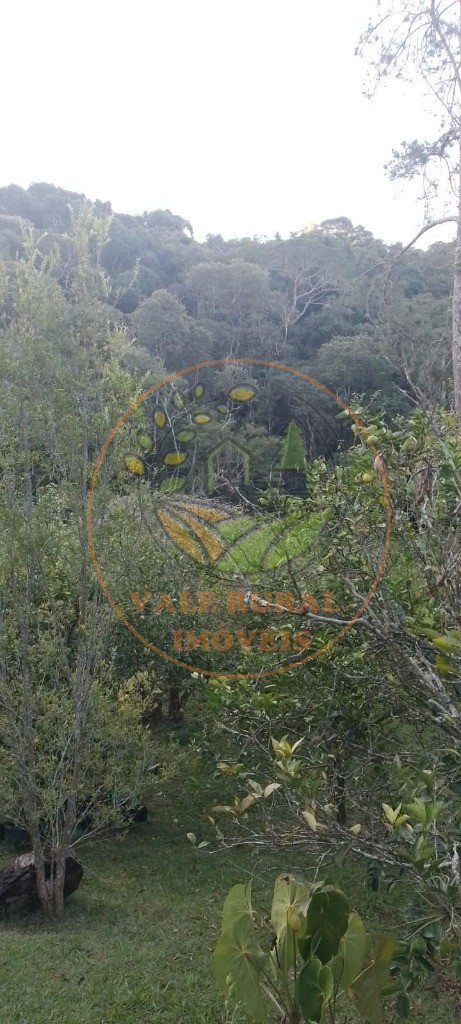Chácara, 3 quartos - Foto 26