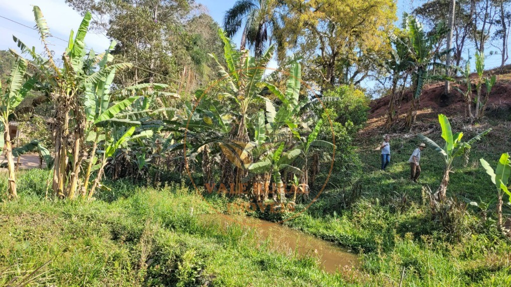 Sítio - Foto 5
