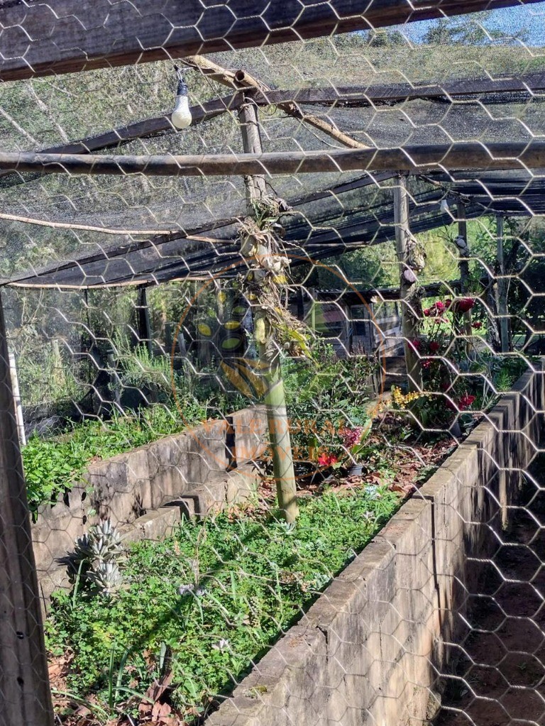 Chácara, 4 quartos - Foto 7