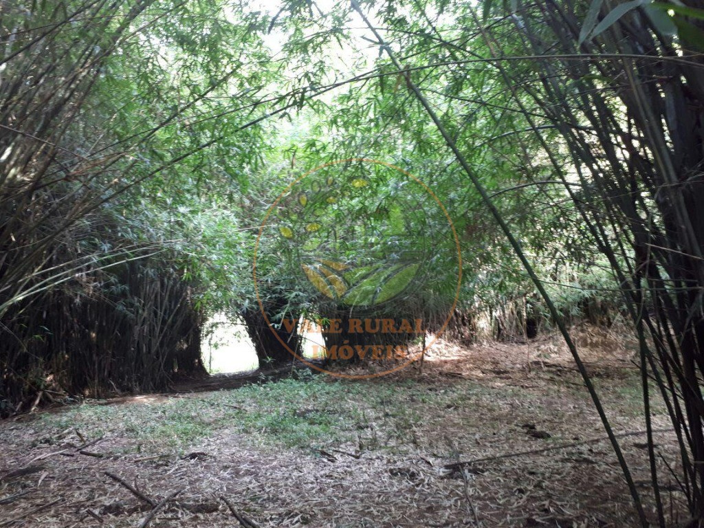 Sítio, 4 quartos - Foto 50