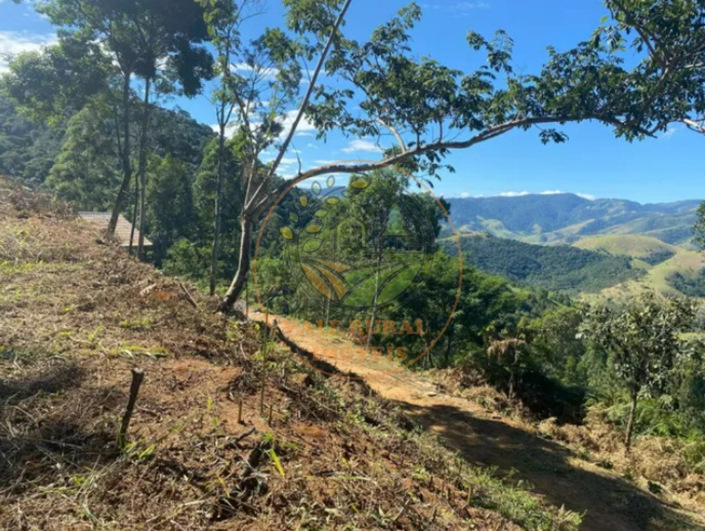Fazenda - Foto 4