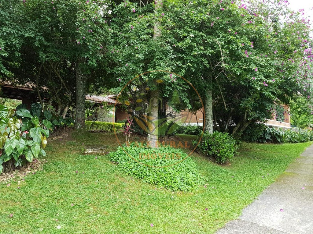 Sítio, 4 quartos - Foto 2