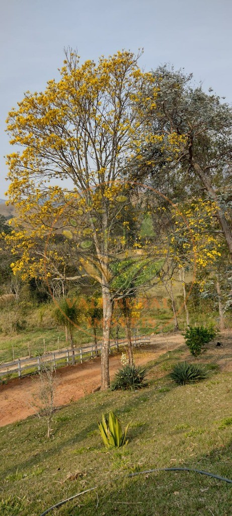 Sítio, 3 quartos - Foto 24