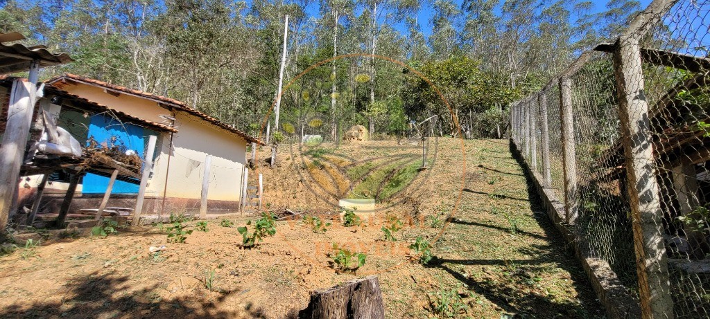 Sítio, 1 quarto, 2 hectares - Foto 11