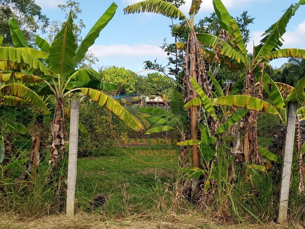 Chácara, 3 quartos - Foto 8