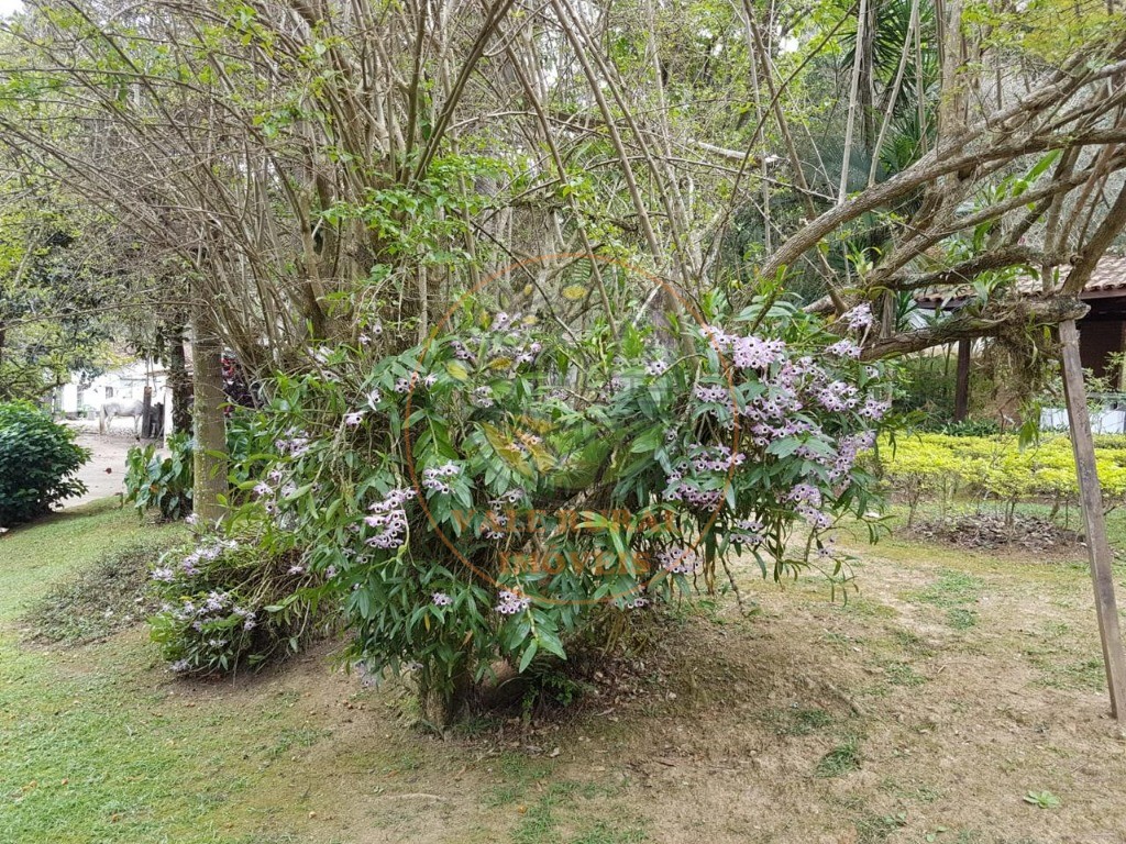 Sítio, 4 quartos - Foto 51