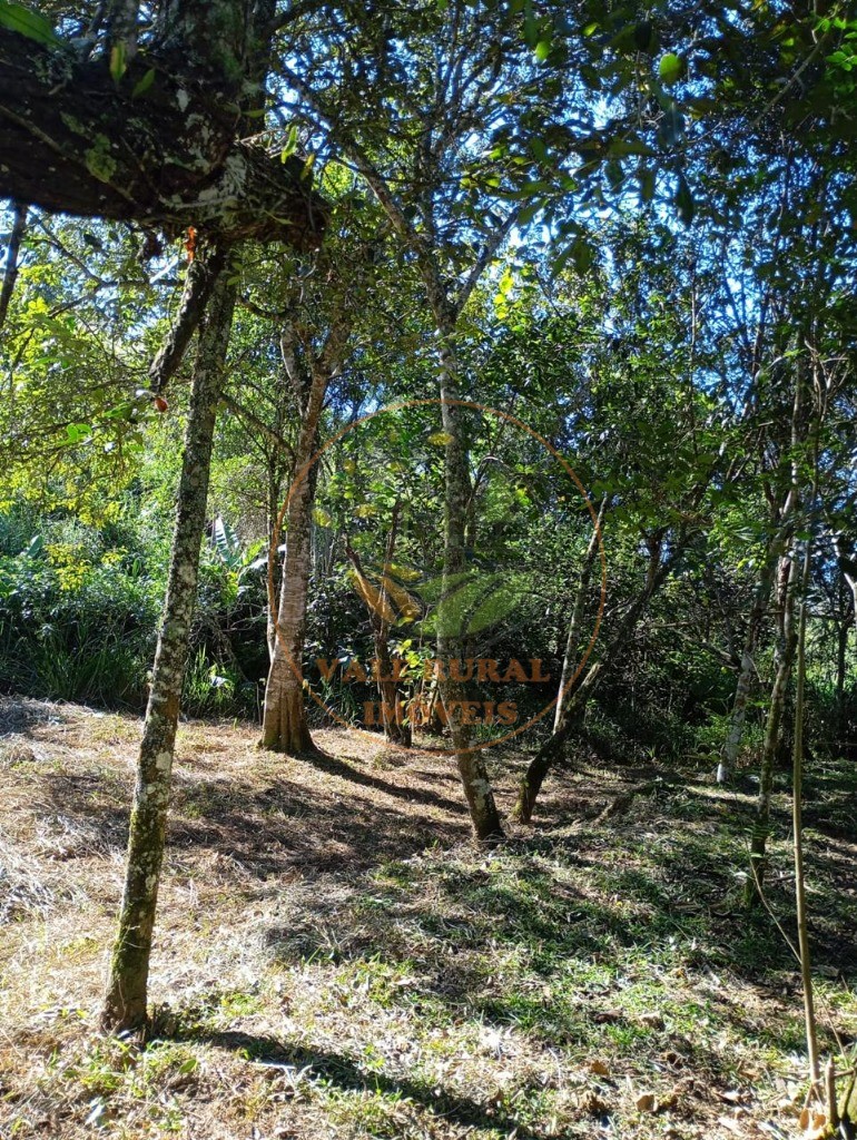 Chácara, 4 quartos - Foto 34