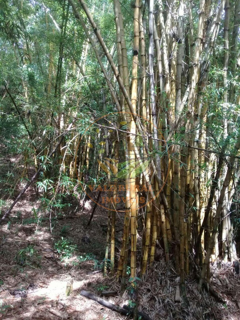 Sítio, 4 quartos - Foto 43