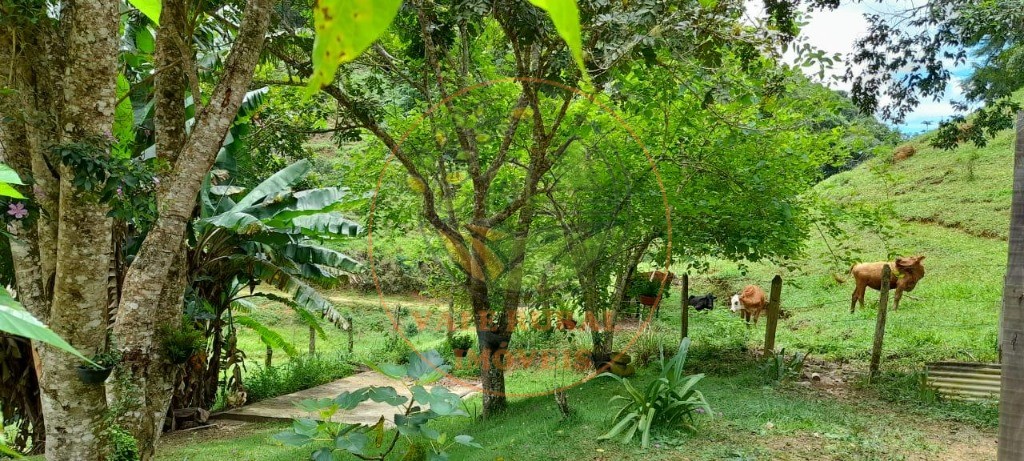 Sítio, 3 quartos - Foto 11