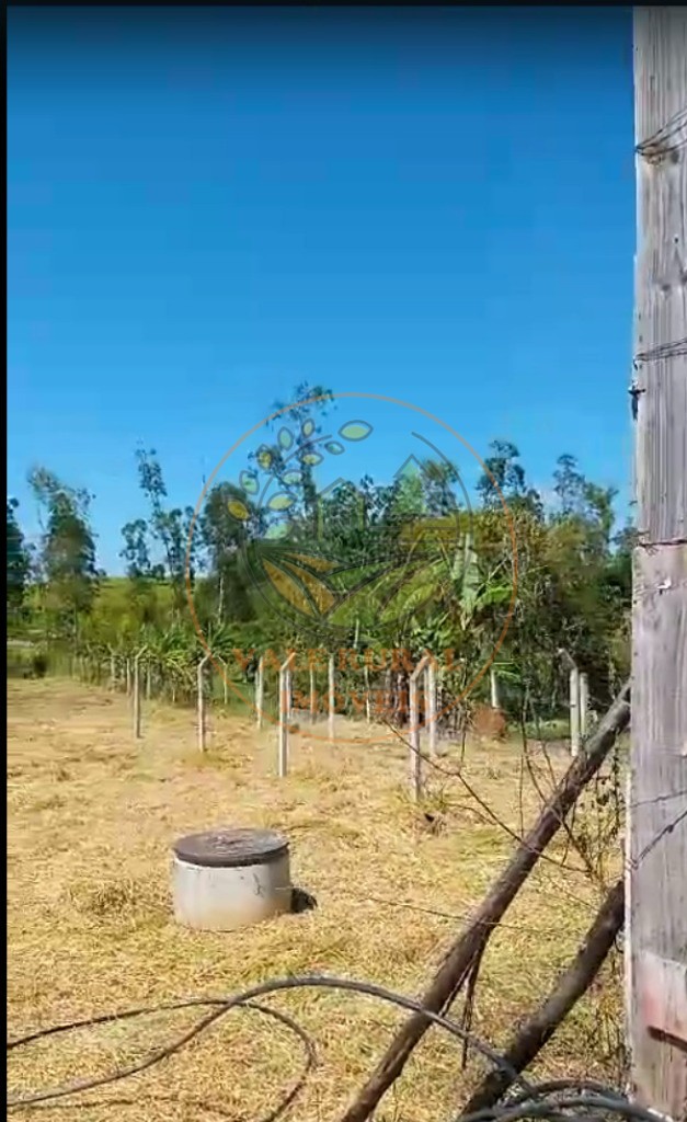Chácara, 3 quartos - Foto 5