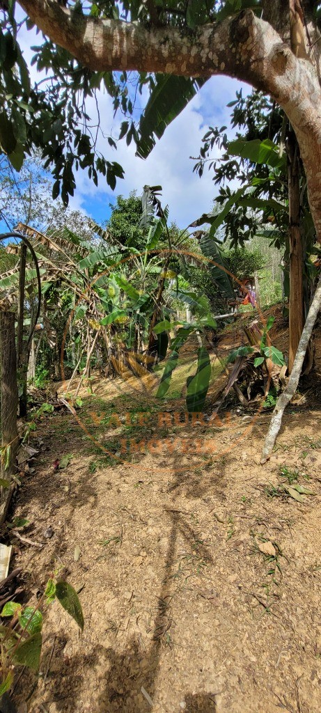 Sítio, 1 quarto, 2 hectares - Foto 12