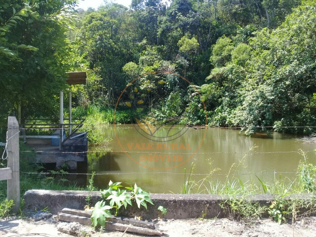 Sítio, 4 quartos - Foto 52