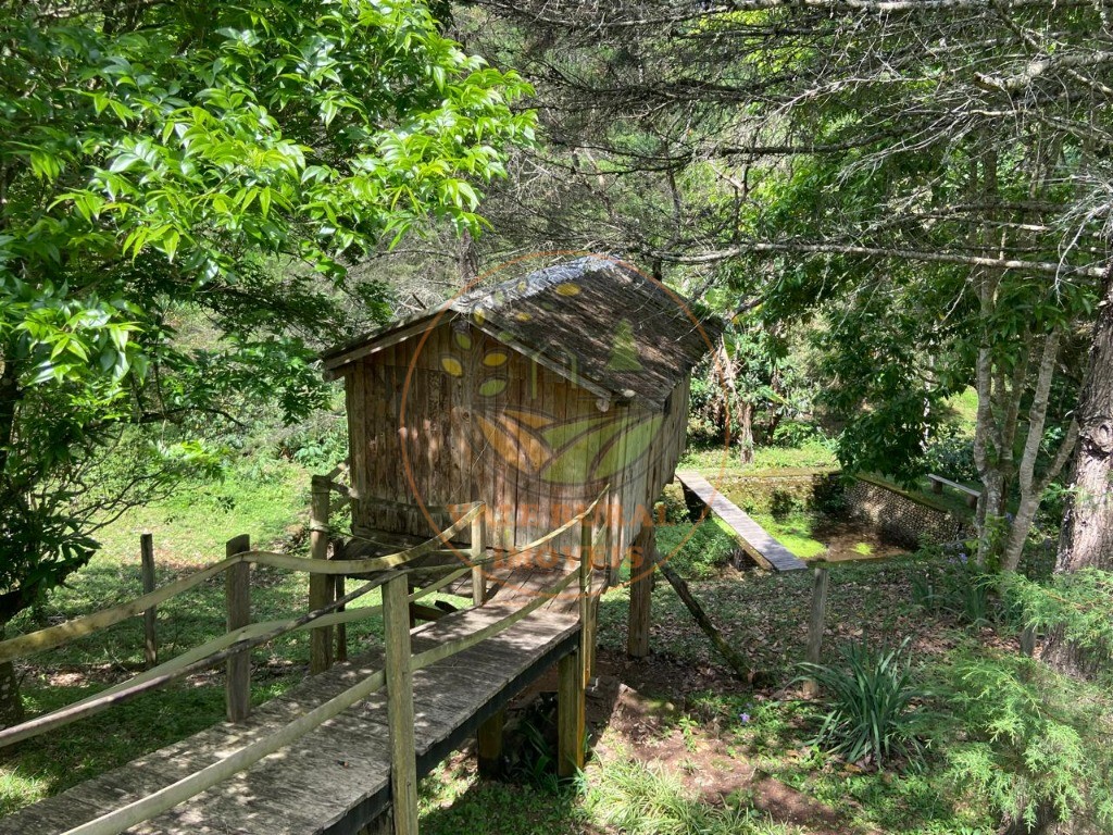Sítio, 2 quartos - Foto 17