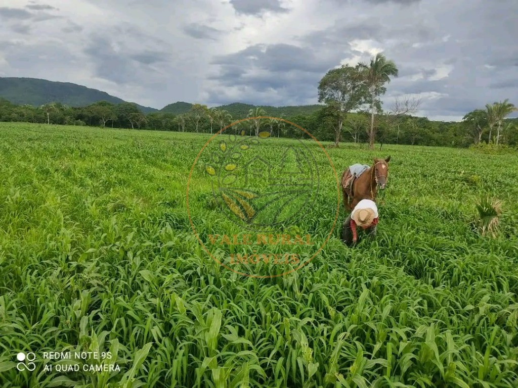 Fazenda - Foto 2