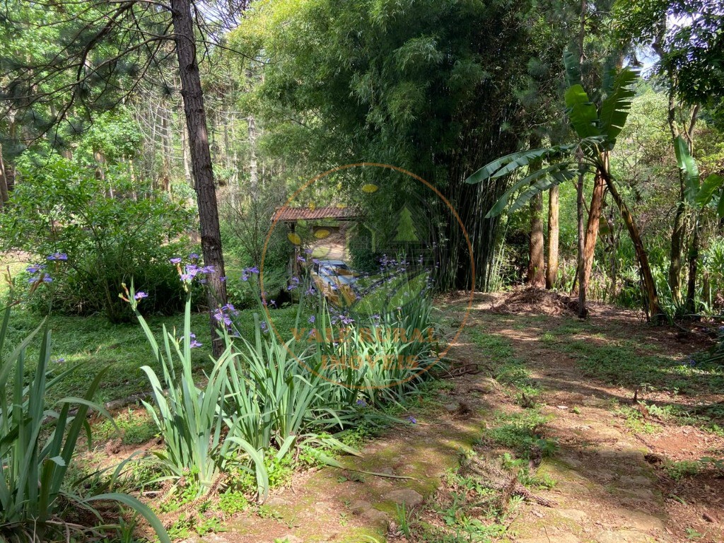Sítio, 2 quartos - Foto 40