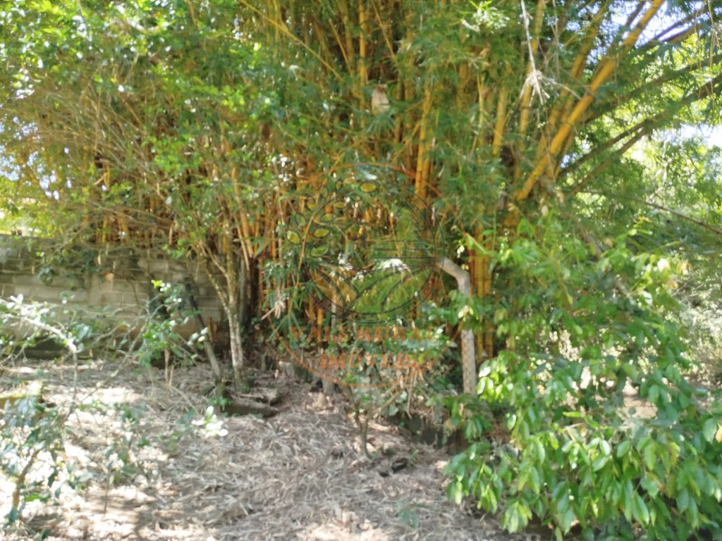 Chácara, 3 quartos - Foto 48