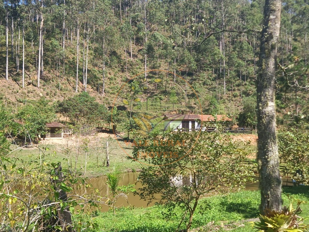 Sítio, 8 quartos - Foto 4