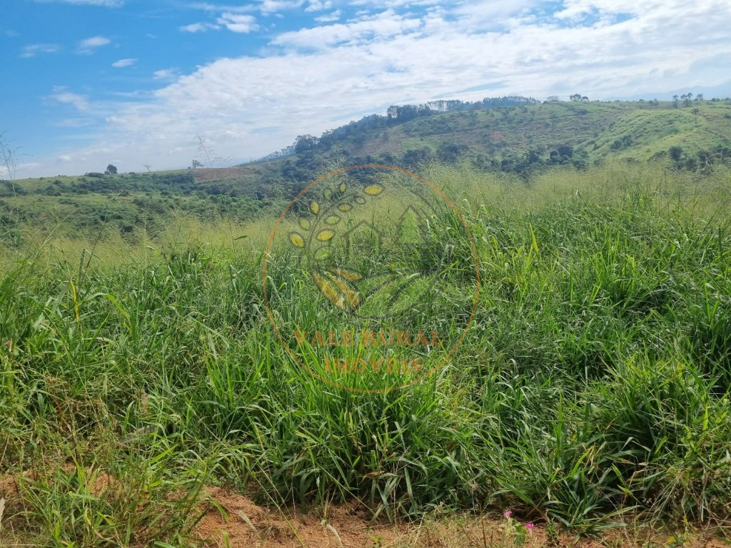 Fazenda - Foto 19