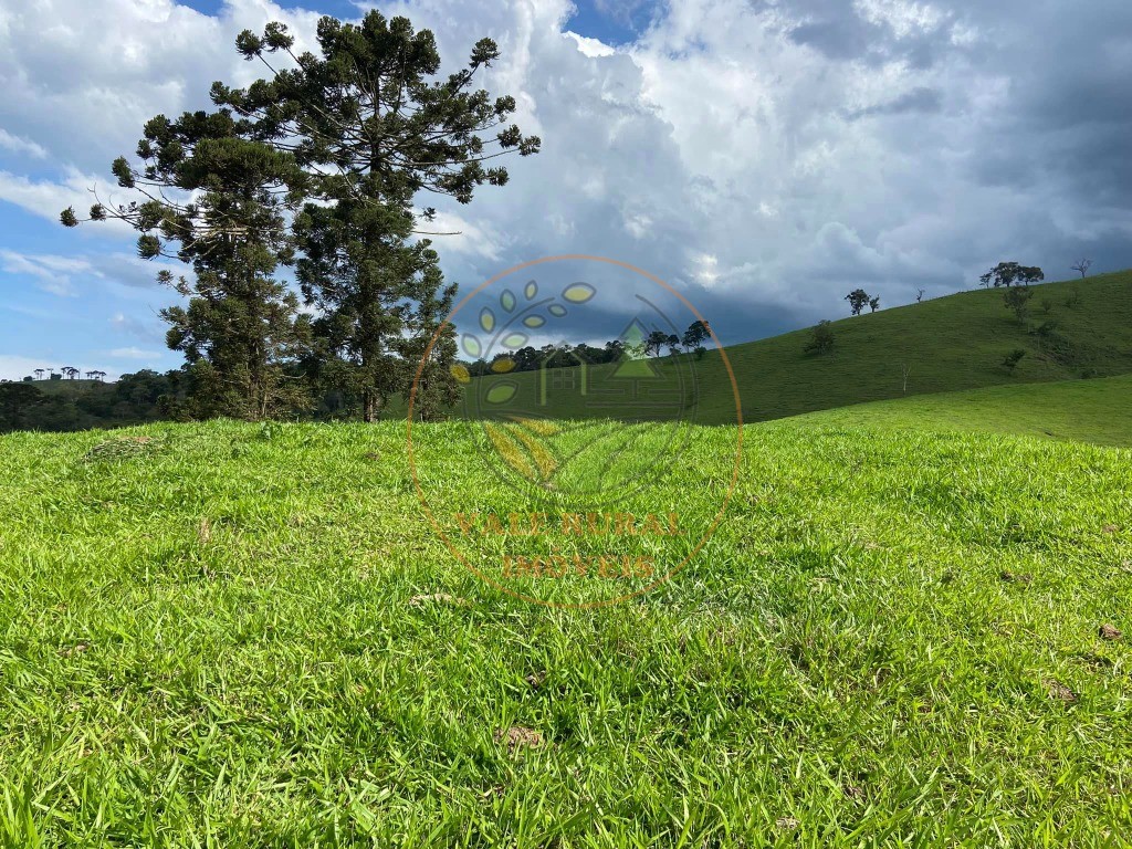 Fazenda - Foto 8