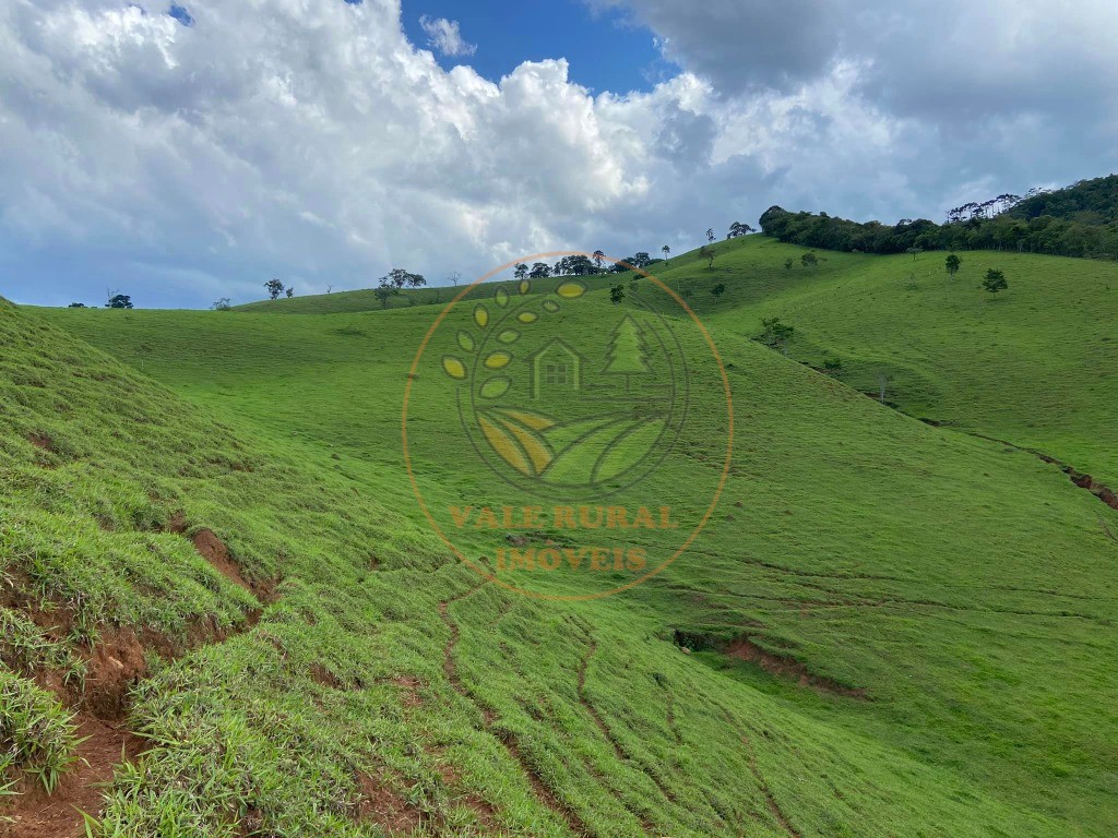 Fazenda - Foto 3