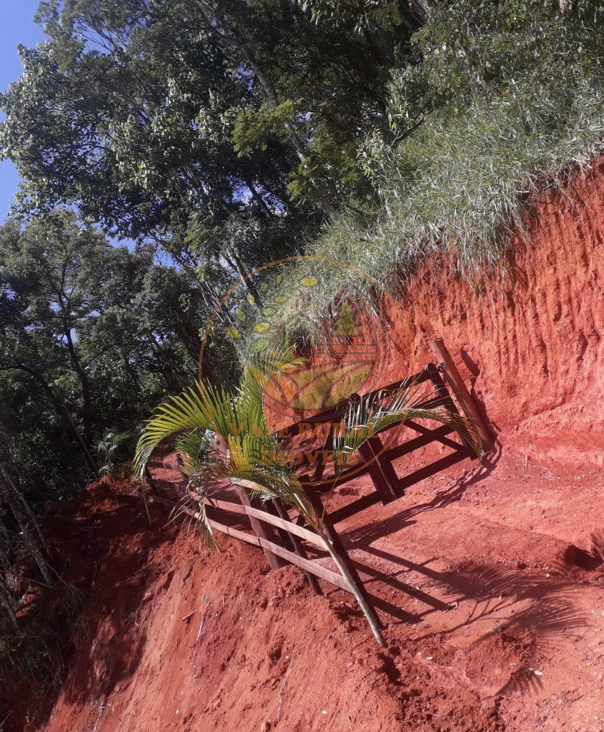 Fazenda - Foto 3
