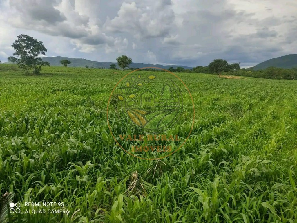 Fazenda - Foto 1