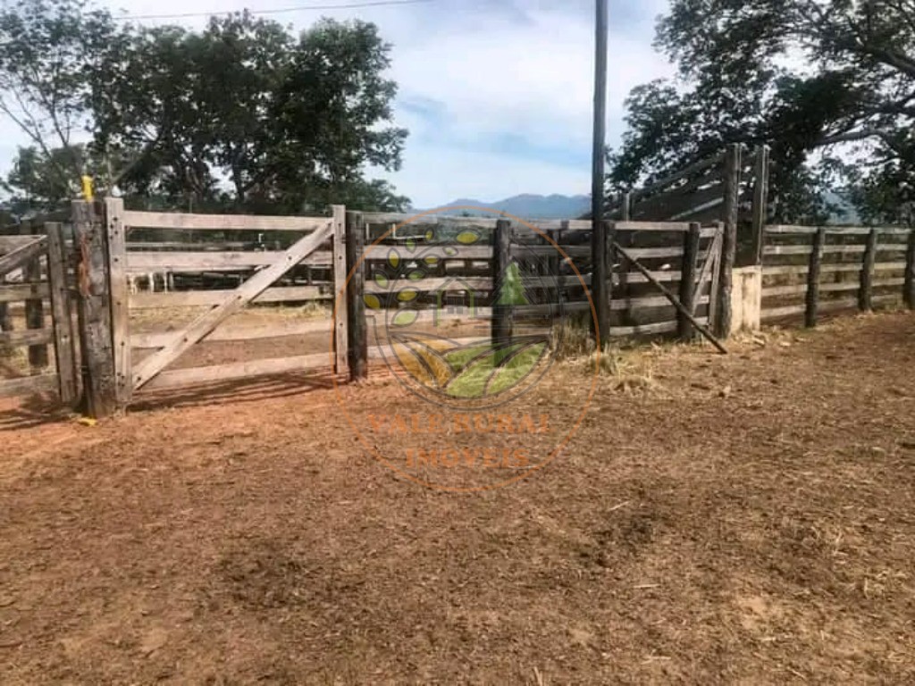 Fazenda - Foto 7