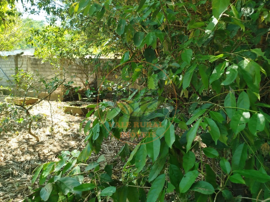 Chácara, 3 quartos - Foto 47