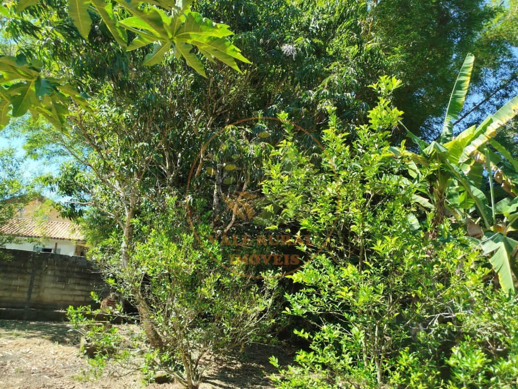 Chácara, 3 quartos - Foto 27