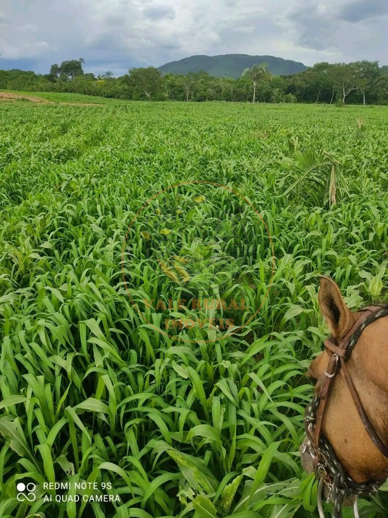 Fazenda - Foto 3