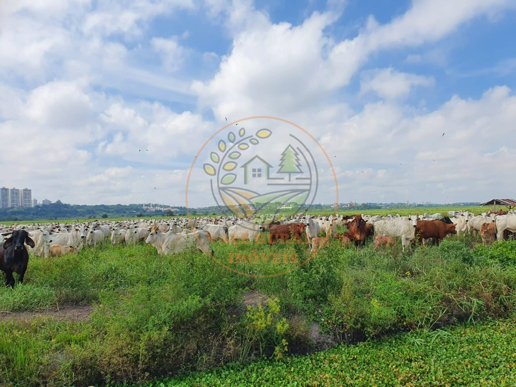 Fazenda, 1 quarto - Foto 3