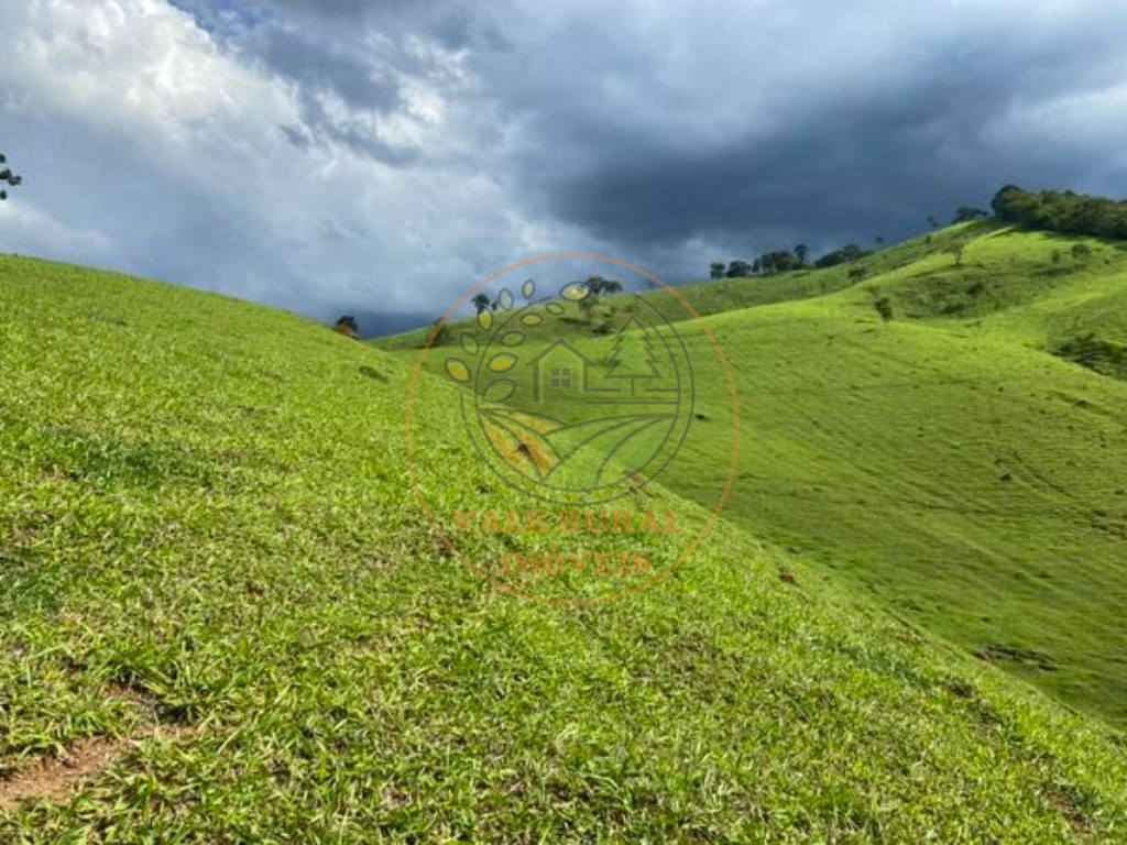 Fazenda - Foto 12