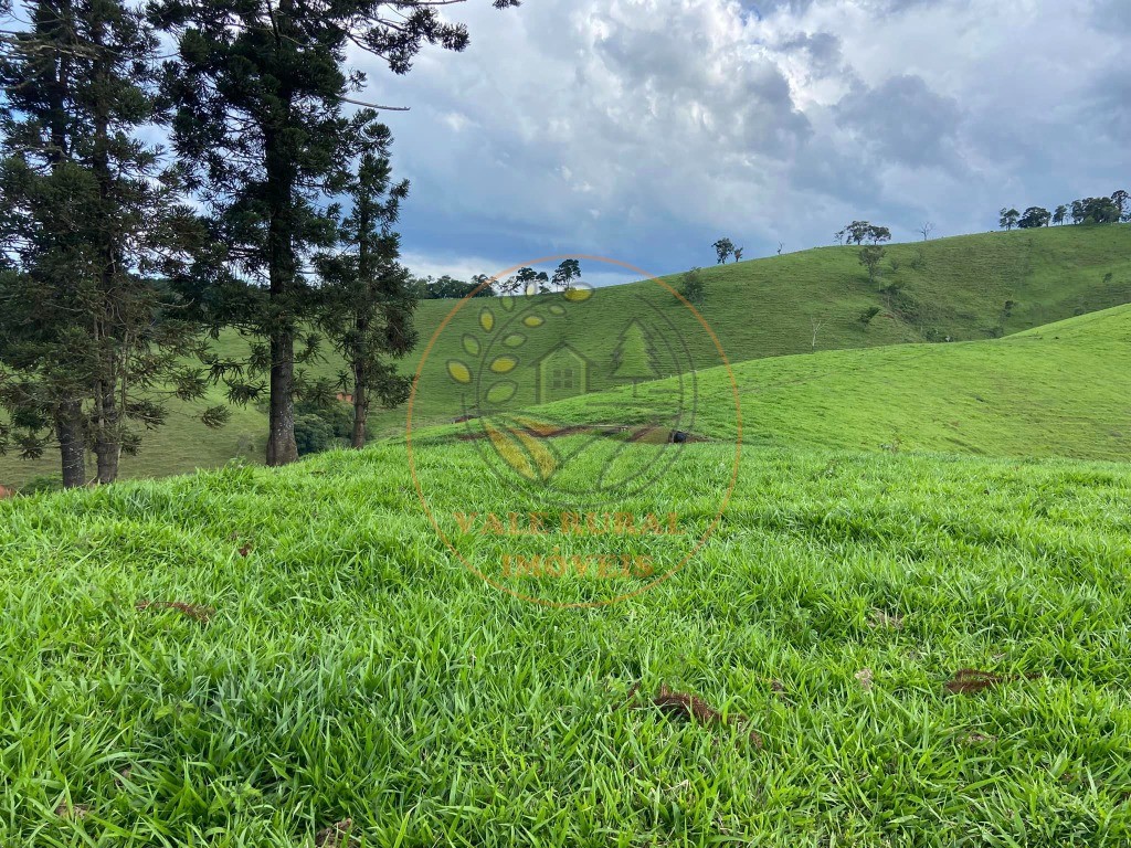 Fazenda - Foto 1