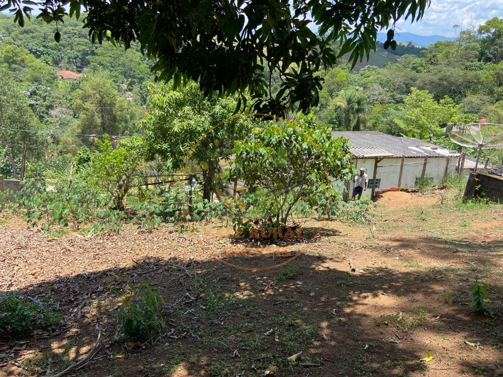 Chácara - Foto 6