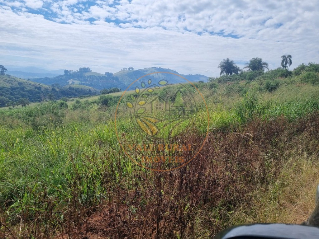 Fazenda - Foto 17