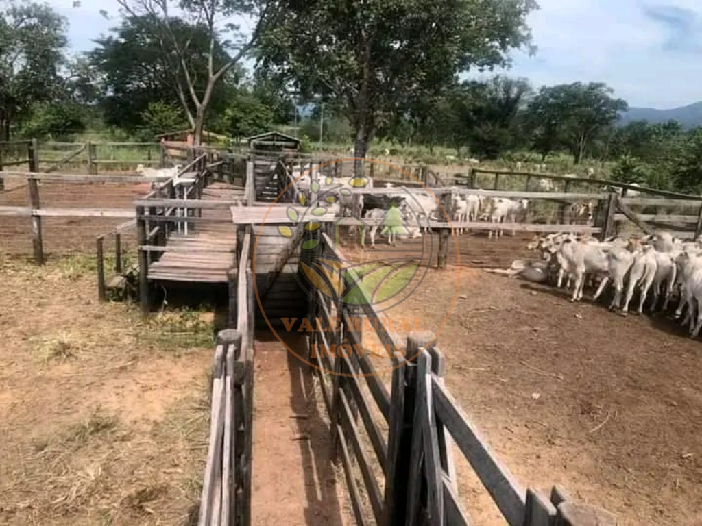 Fazenda - Foto 6