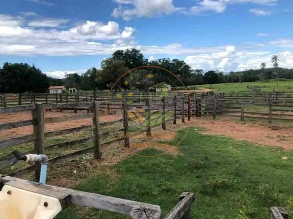 Fazenda - Foto 8