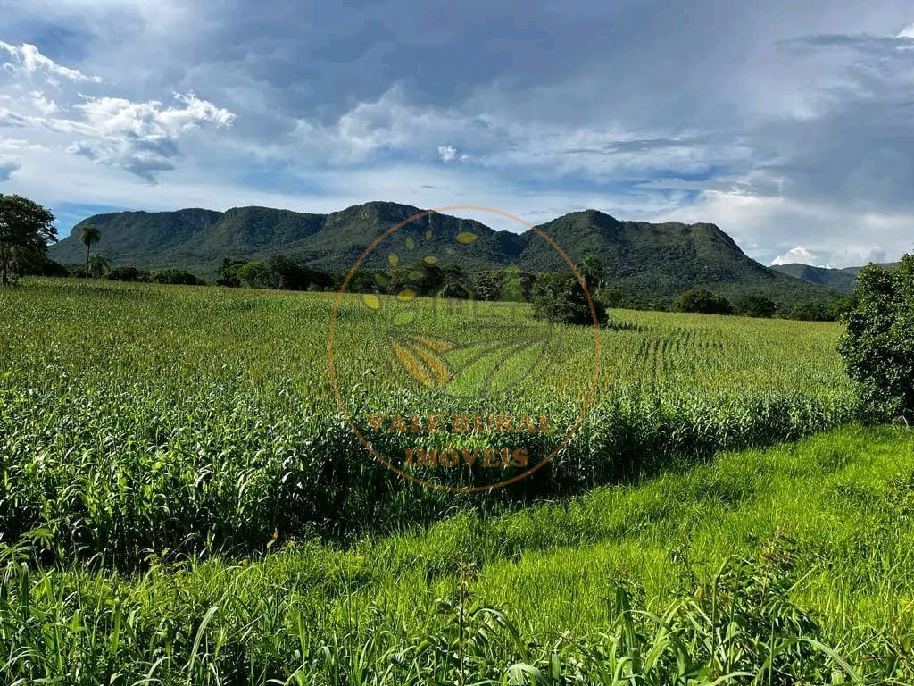 Fazenda - Foto 4