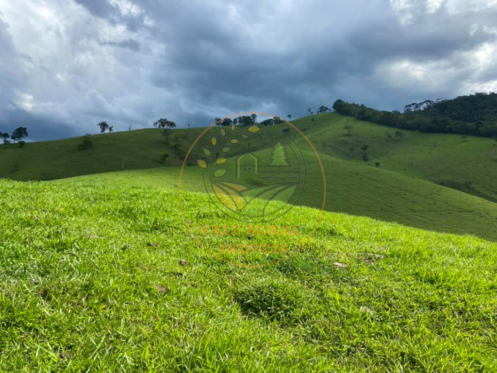 Fazenda - Foto 9