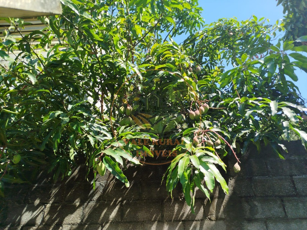 Chácara, 3 quartos - Foto 61