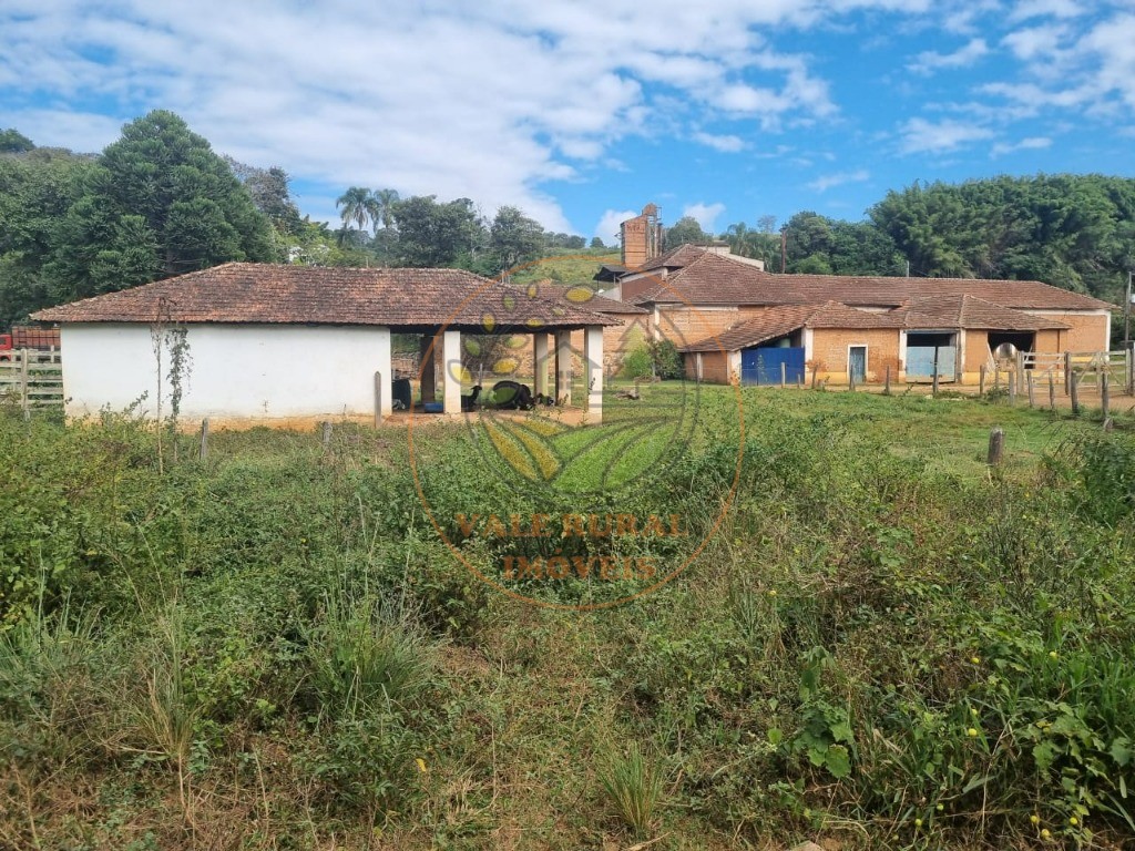 Fazenda - Foto 4