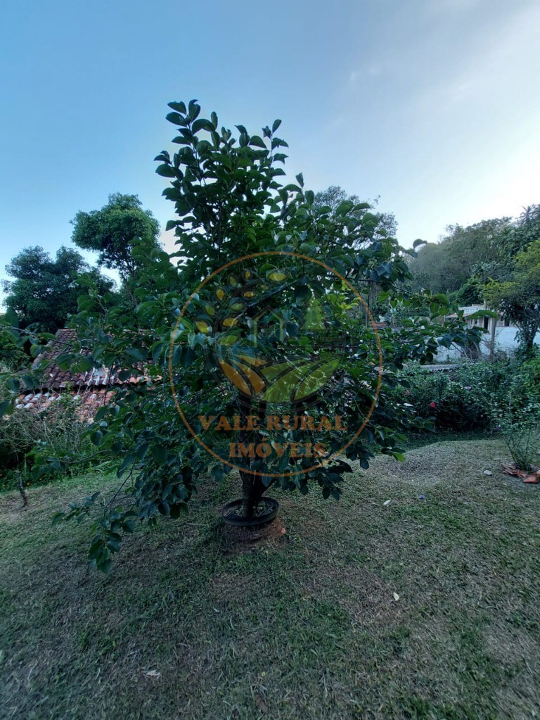 Chácara, 3 quartos - Foto 11