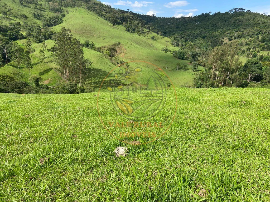 Fazenda - Foto 10