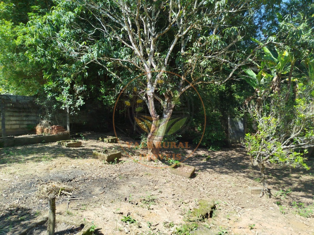 Chácara, 3 quartos - Foto 31