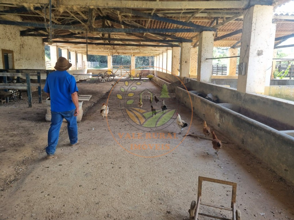 Fazenda - Foto 16
