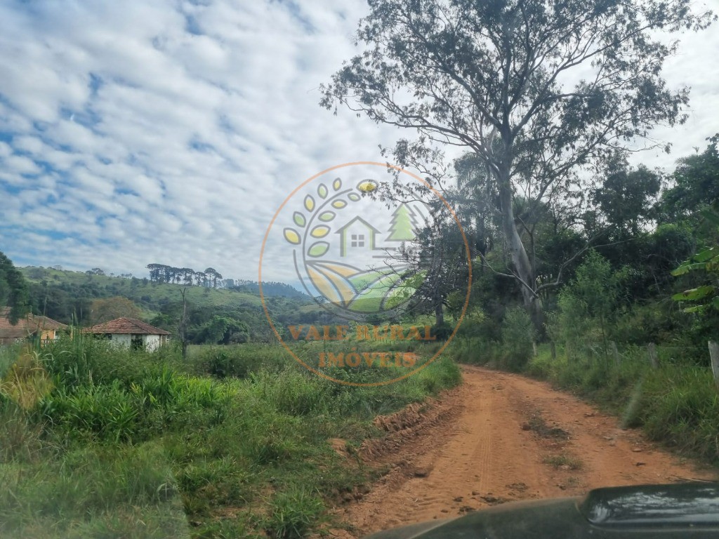 Fazenda - Foto 22