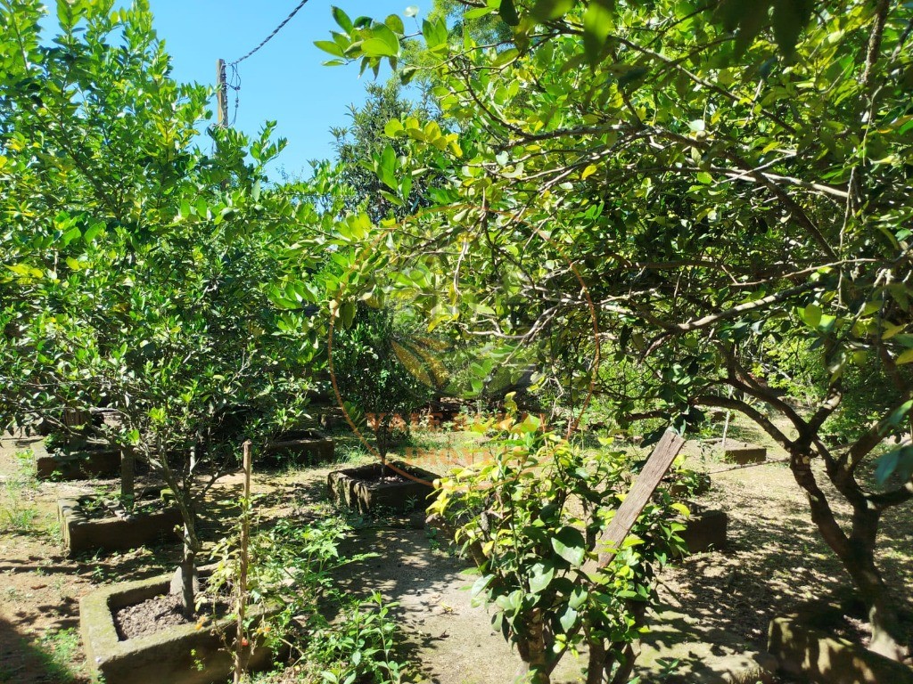 Chácara, 3 quartos - Foto 37
